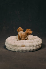 The Lola Bubble Pet Bed | Cappuccino